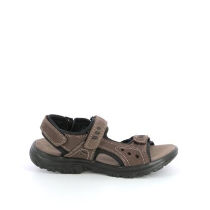 pronti-070-016-bottesini-sandalen-bruin-nl-1p