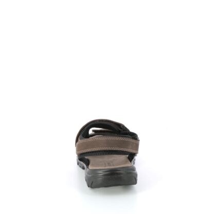 pronti-070-016-bottesini-sandalen-bruin-nl-5p