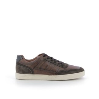 pronti-160-1h8-wrangler-sneakers-kastanje-nl-1p