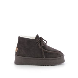 pronti-430-1l1-lois-boots-enkellaarsjes-boots-enkellaarsjes-kastanje-nl-1p